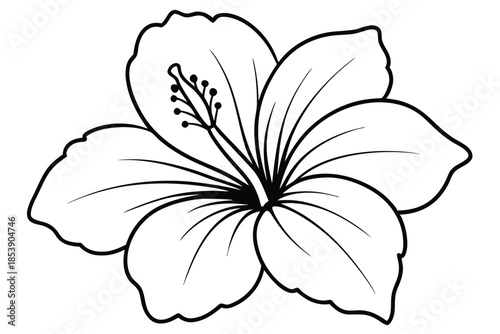 hibiscus silhouette line art vector illustration with a white background