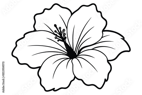 hibiscus silhouette line art vector illustration with a white background