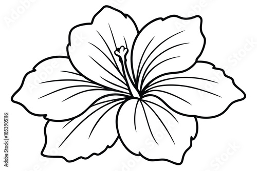 hibiscus silhouette line art vector illustration with a white background