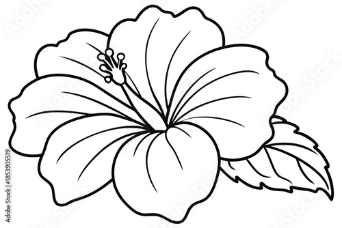 hibiscus silhouette line art vector illustration with a white background