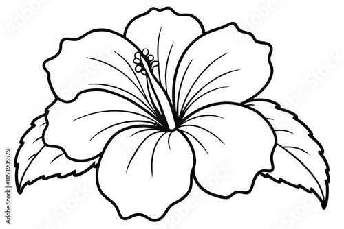 hibiscus silhouette line art vector illustration with a white background
