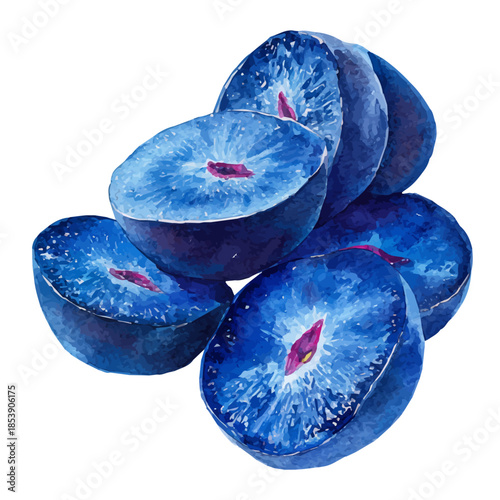 Bilberry Slices in watercolor style, vector illustration, isolated on white background.