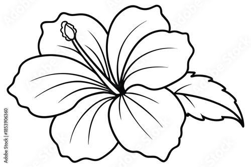 hibiscus silhouette line art vector illustration with a white background