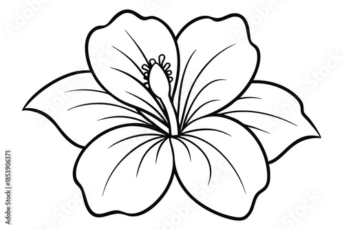 hibiscus silhouette line art vector illustration with a white background