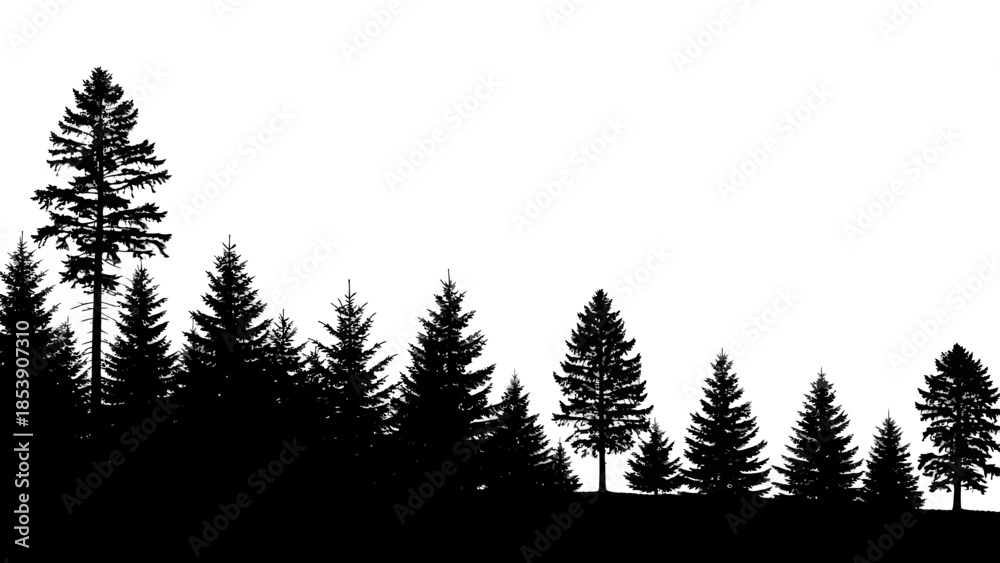 Fototapeta premium Silhouette forest edge illustration, evergreen trees in black on a white background