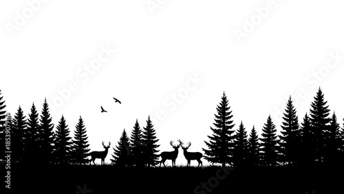Silhouette of deers standing in a forest of coniferous trees with birds flying