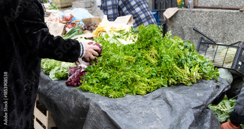 buyer picking fresh leafy green vegetables at outdoor market stall with various produce