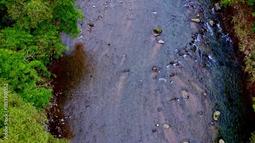 穏やかな川の流れを真上から見る