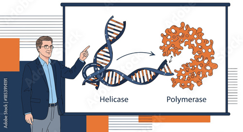 Illustration depicting helicase unwinding DNA and polymerase, demonstrating fundamental molecular