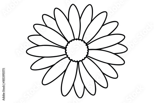 daisy silhouette line art vector illustration with a white background