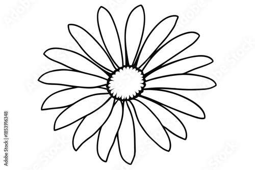 daisy silhouette line art vector illustration with a white background