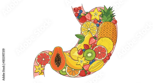 Cross section of a human stomach filled to the brim with various fresh healthy fruits like pineapple, papaya, berries, and citrus.