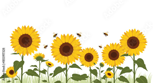 Field of bright yellow sunflowers growing in green grass with several honey bees flying around under a clear white sky in summer.