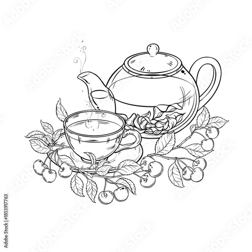 Cherry Tea in Teapot aroma beverage Outline Illustration. Vector isolated for Design and Decoration for Cafeteria, Posters, Banners, Cards.
