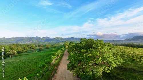 Wallpaper Mural Dirt road in a natural valley against the backdrop of a mountain landscape with green hills. Picturesque hills and summer nature of the Dominican Republic under a blue sky. Country road among trees. Torontodigital.ca