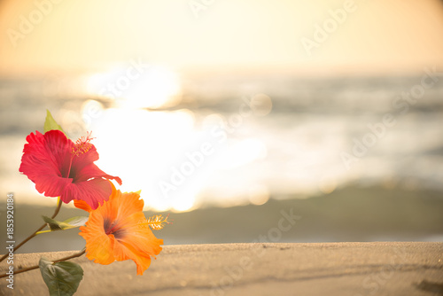夕日の砂浜とハイビスカス