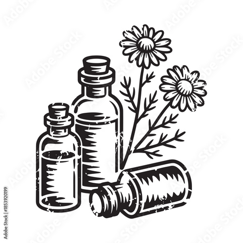 Vintage botanical illustration featuring chamomile flowers and apothecary bottles