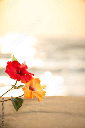 夕日の砂浜とハイビスカス