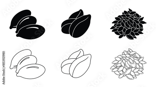 Black and white illustrations of coffee beans leaves and seed groupings
