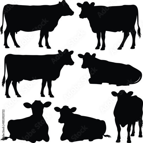 Set of Seven Farm Animal Cattle Silhouettes, Black and White Vector Graphic Collection, Standing and Resting Cow Figures, Livestock and Dairy Farming Illustration