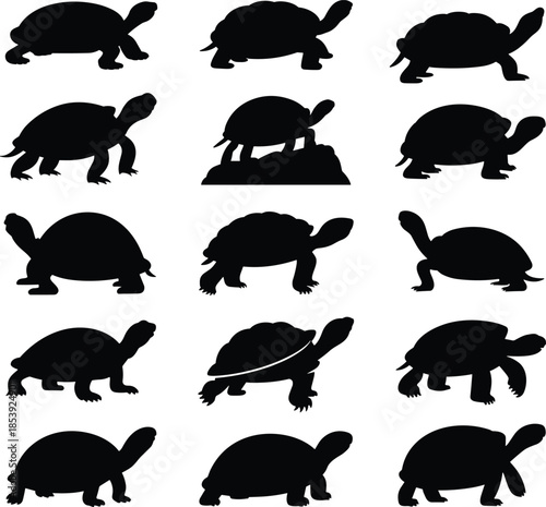 Silhouette collection of turtles and tortoises in various poses, wildlife reptile icons, black animal shapes, nature illustration set for graphic design