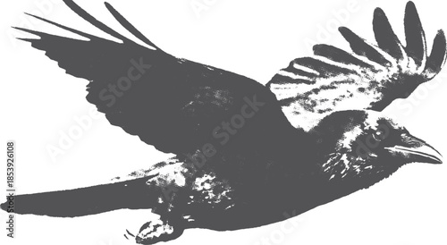 Flying raven in silhouette style. Simple vector illustration of nature, suitable for graphic design and artistic projects.