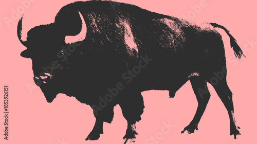 Bison silhouette in vintage black and white on a pink background. Simple vector illustration highlighting wildlife art in a colorful design set.