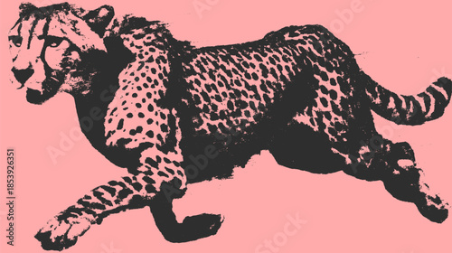 Cheetah running in a vector illustration. The dynamic design features a vibrant pink background, showcasing the wild feline in graphic art.
