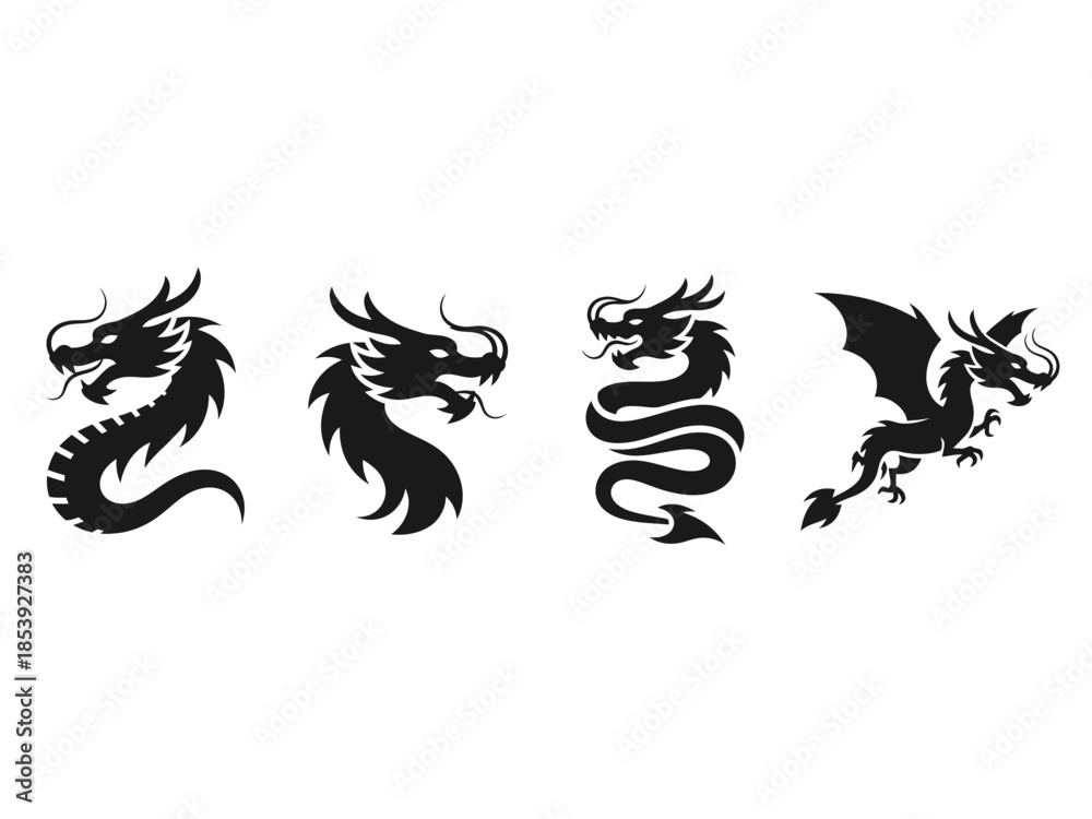 Fototapeta premium chinese dragon vector