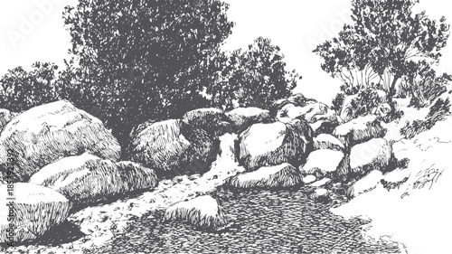 Illustration of a rocky stream with trees. Detailed black and white vector drawing depicting an outdoor landscape set in nature.