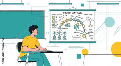 Student engrossed in learning protein synthesis in a minimalist classroom setting illustration