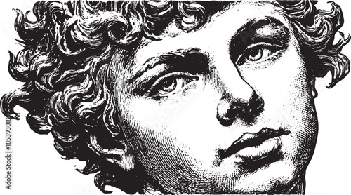 Detailed illustration of a classical face. Black and white vintage set with curly hair and expressive features, presented in vector format.