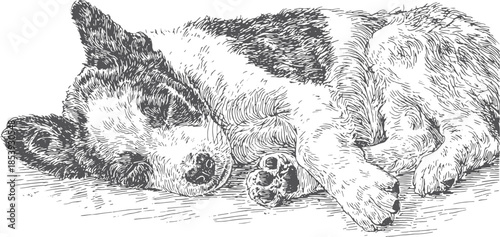 Sleeping puppy in a monochrome sketch style. Cute dog vector illustration resting on a sofa.