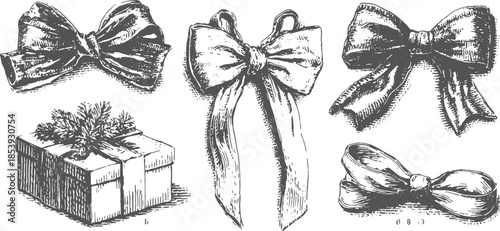 Ribbons and bows in classic illustration style. Decorative vector elements for gift packaging in a set.