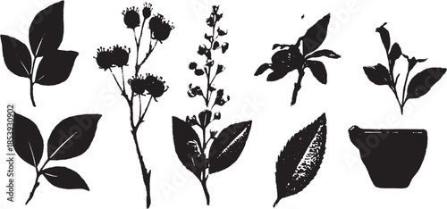 Handcrafted plant sprigs with leaves and flowers. This black silhouette vector illustration features a decorative and simple set of natural elements.