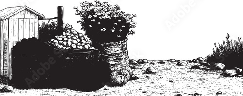 Garden with vegetables and flowers in black and white illustration. Detailed set depicting outdoor agricultural components in vector style.