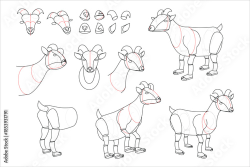 Breaking down goat shape using simple manipulated forms