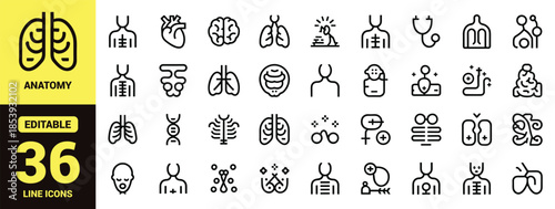 Human Internal Organ Icon Set with Minimalist Black Vector Symbols of Heart, Lungs, Brain, Stomach, Kidneys and Skeleton for Medical Design