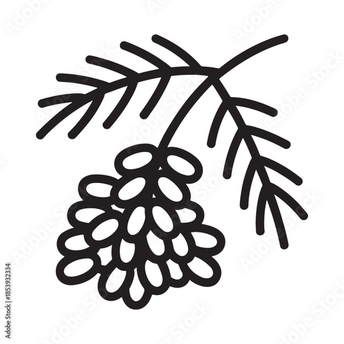 Simple black and white botanical illustration of a juniper branch with berries