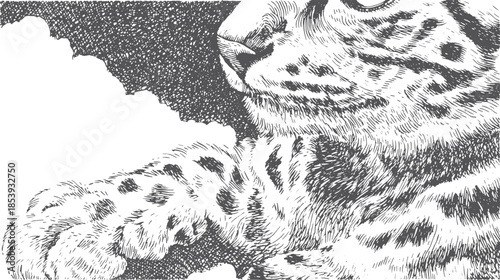 Leopard closeup featuring detailed fur texture and head profile. This black and white vector illustration captures the essence of wildlife.