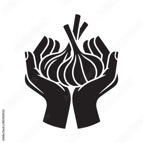 Hands cradling a garlic bulb a simple black and white illustration