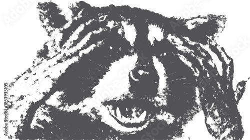 Raccoon animal portrait in black and white. Detailed vector illustration showcasing unique texture and artistic elements in a modern graphic style.
