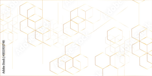 A beautiful Chaotic abstract line seamless pattern .Technology black illustration . Connected lines with dots .graphic background dots with connections for your design, illustration