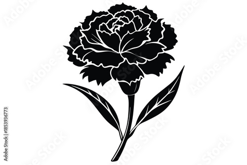 carnation silhouette line art vector illustration with a white background