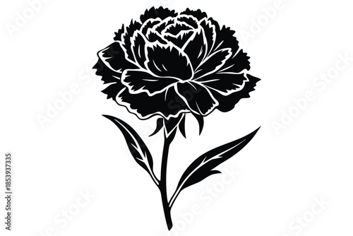 carnation silhouette line art vector illustration with a white background
