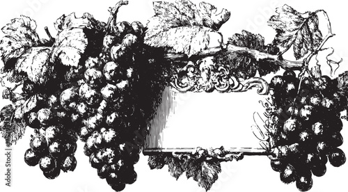 Grapes and leaves in classic black and white drawing style. Decorative border set for a template or label, vector illustration.