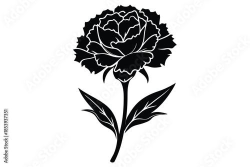 carnation silhouette line art vector illustration with a white background