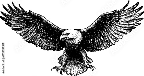 Eagle in outline style capturing flight with wings spread. Vintage black and white vector illustration showcases detailed wildlife.