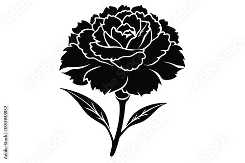 carnation silhouette line art vector illustration with a white background
