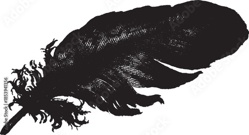 Black feather illustration in a vintage style. Simple and elegant design for a decor concept, presented as a vector illustration.